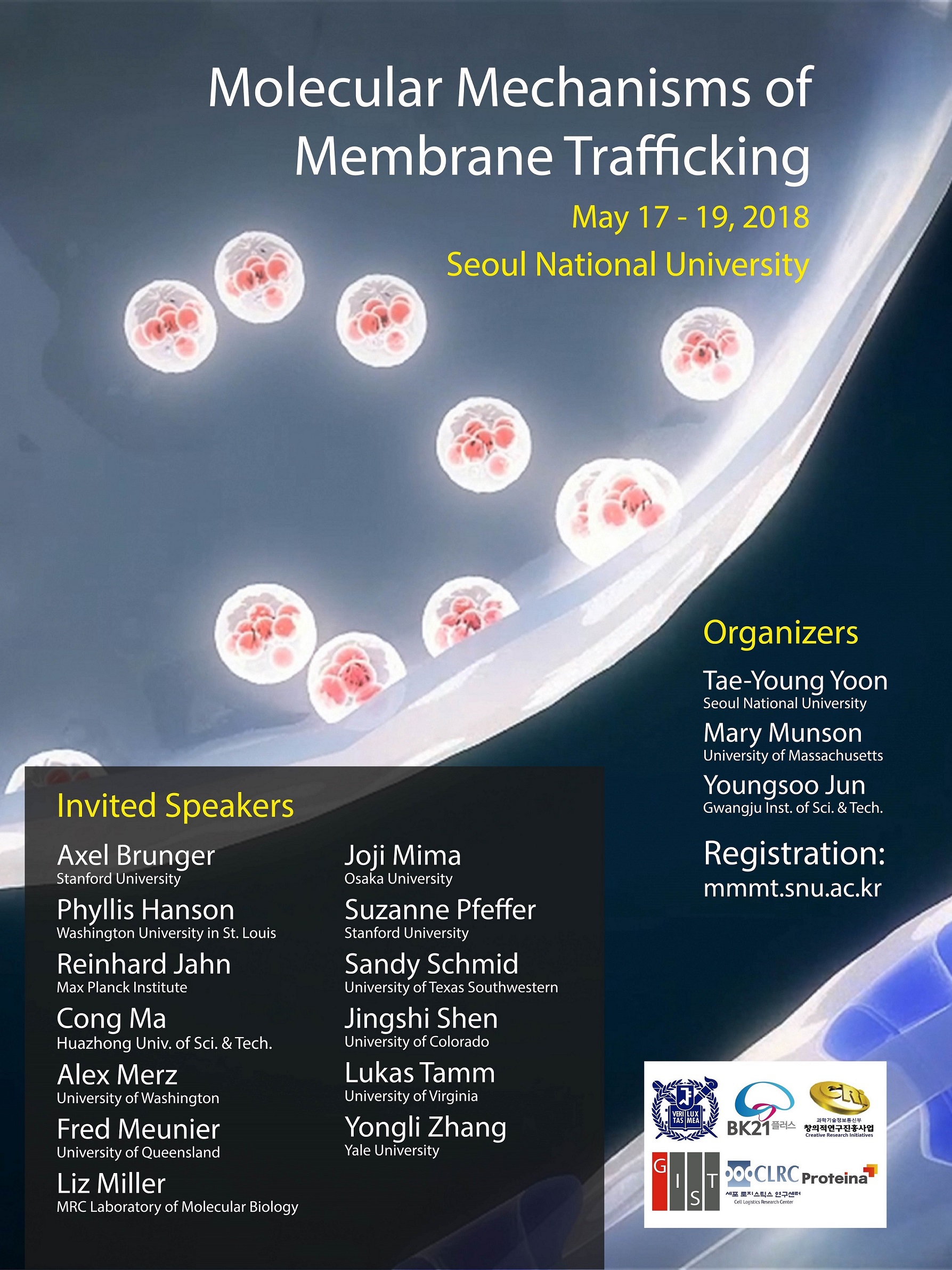 Molecular Mechanisms Of Membrane Trafficking